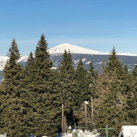 Apartman Jestrab 5 Janské Lázně Buitenkant foto
