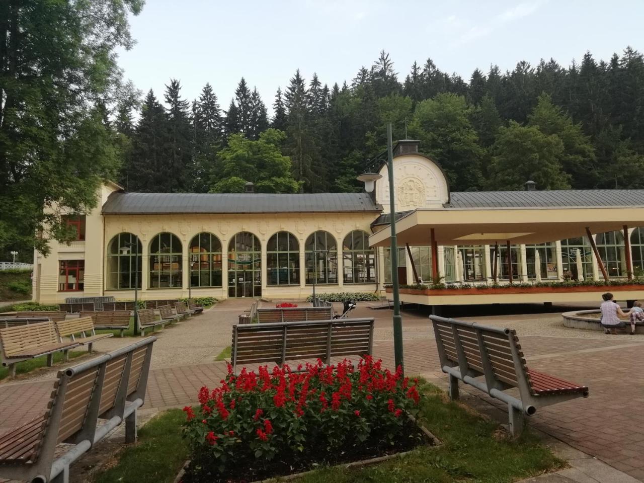 Apartman Jestrab 5 Janské Lázně Buitenkant foto